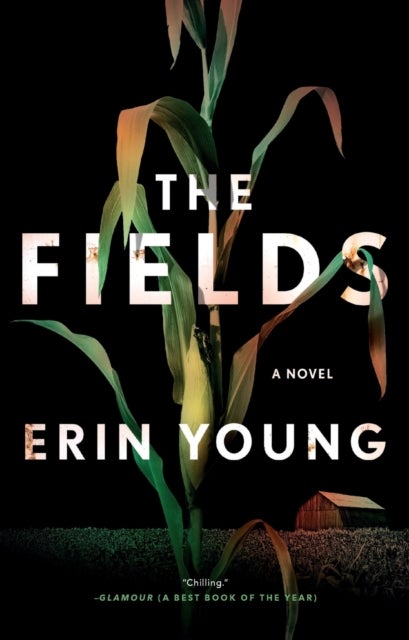 The Fields - A Novel