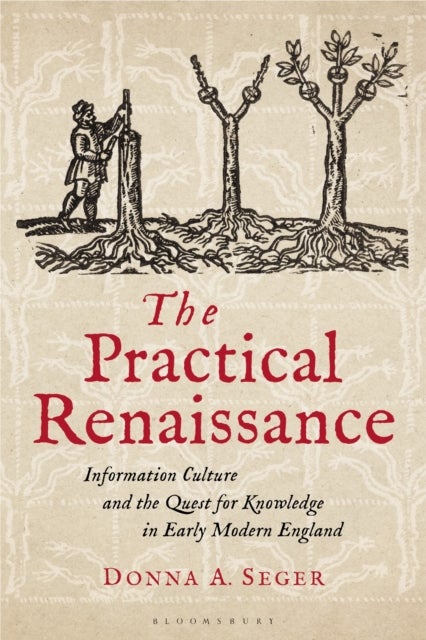 Practical Renaissance - Information Culture and the Quest for Knowledge in Early Modern England, 1500-1640