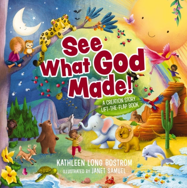 See What God Made! - A Creation Story Lift-the-Flap Book