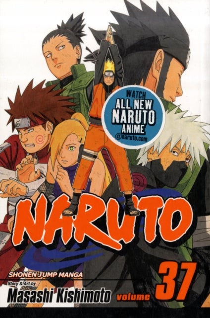 Naruto, Vol. 37 - Shikamaru's Battle