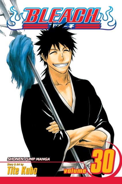 Bleach, Vol. 30 - There Is No Heart Without You