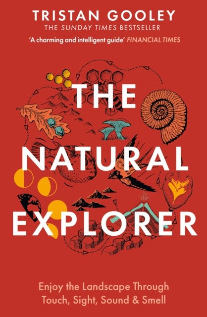 The Natural Explorer - A must-have for all nature lovers - perfect reading for your summer walks