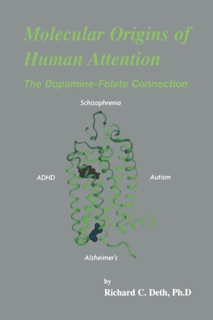 Molecular Origins of Human Attention - The Dopamine-Folate Connection