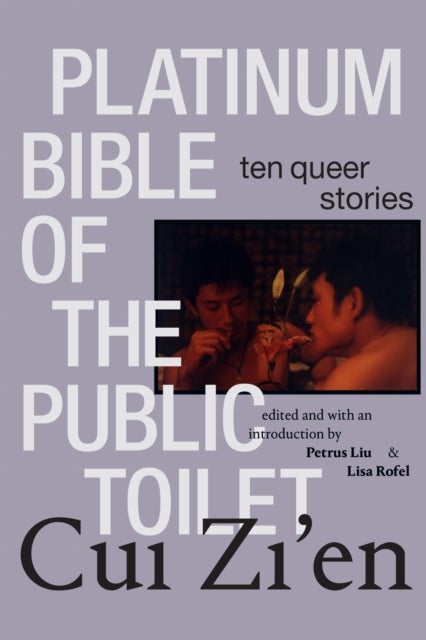 Platinum Bible of the Public Toilet - Ten Queer Stories