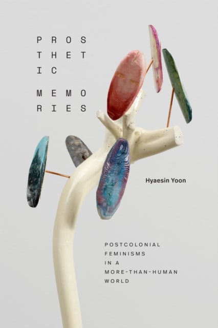 Prosthetic Memories - Postcolonial Feminisms in a More-Than-Human World