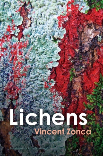 Lichens – Toward a Minimal Resistance - Toward a Minimal Resistance