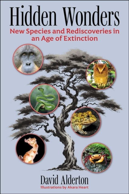 Hidden Wonders - New Species and Rediscoveries in an Age of Extinction