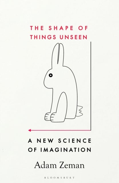 Shape of Things Unseen - A New Science of Imagination