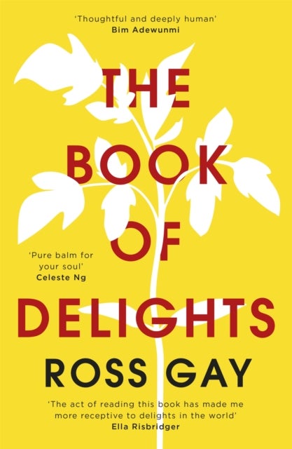 Book of Delights - The uplifting, life-affirming New York Times bestselling book of joy