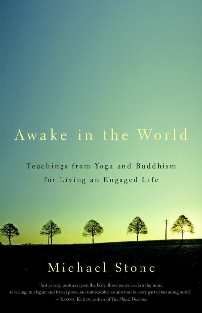 Awake in the World - Teachings from Yoga and Buddhism for Living an Engaged Life