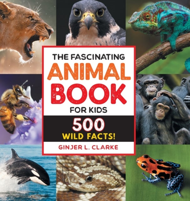 The Fascinating Animal Book for Kids - 500 Wild Facts!