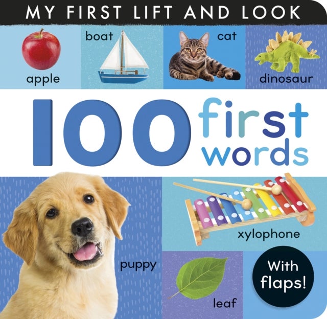 100 First Words - My First Lift and Look (with Flaps)