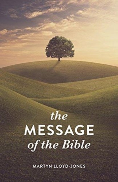 The Message of the Bible (25–pack)