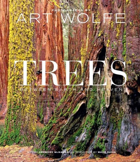 Trees (Gift Edition) - Between Earth and Heaven