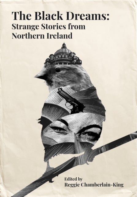 The Black Dreams - Strange Stories from Northern Ireland