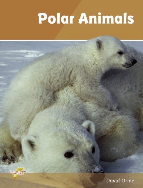 Polar Animals - Set 4