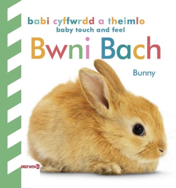 Babi Cyffwrdd a Theimlo: Bwni Bach / Baby Touch and Feel: Bunny - Bunny