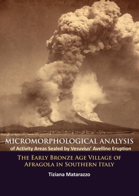 Micromorphological Analysis of Activity Areas Sealed by Vesuvius’ Avellino Eruption - The Early Bronze Age Village of Afragola in Southern Italy