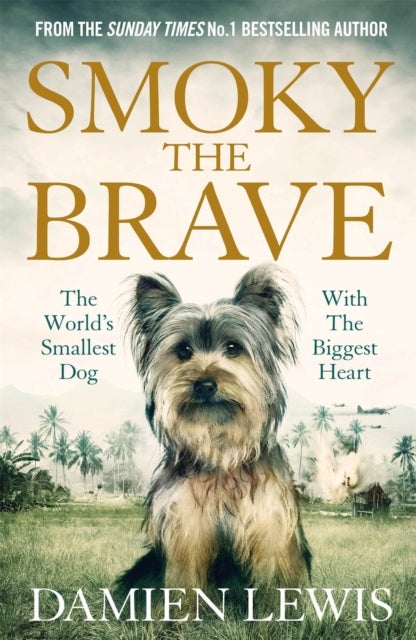 Smoky the Brave - The World’s Smallest Dog with the Biggest Heart
