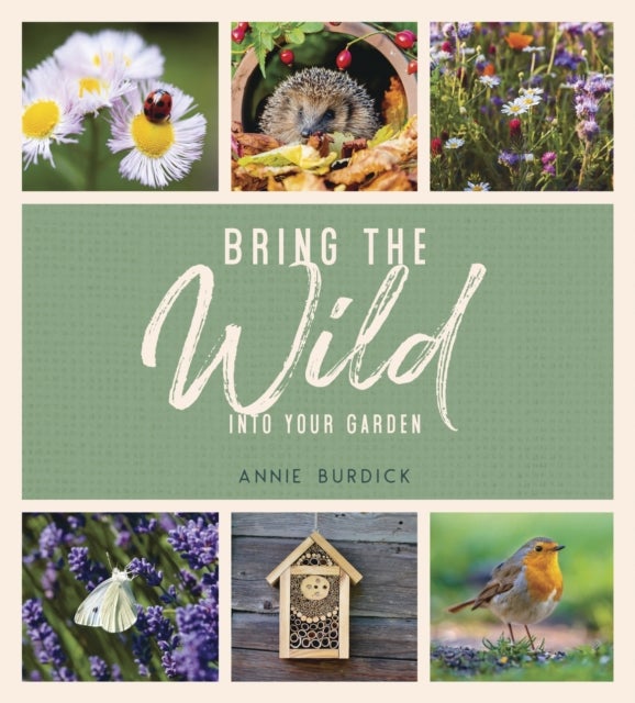 Bring the Wild into Your Garden - Simple Tips for Creating a Wildlife Haven