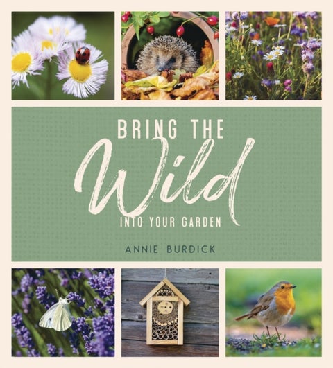 Bring the Wild into Your Garden - Simple Tips for Creating a Wildlife Haven