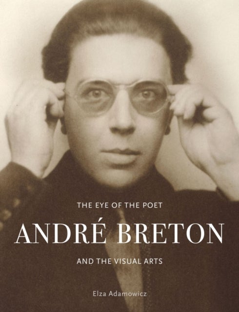 The Eye of the Poet - Andre Breton and the Visual Arts