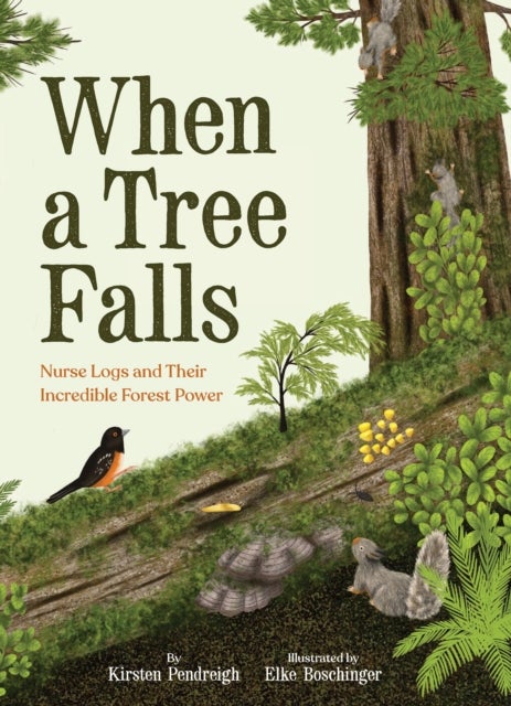 When a Tree Falls - Nurse Logs and Their Incredible Forest Power