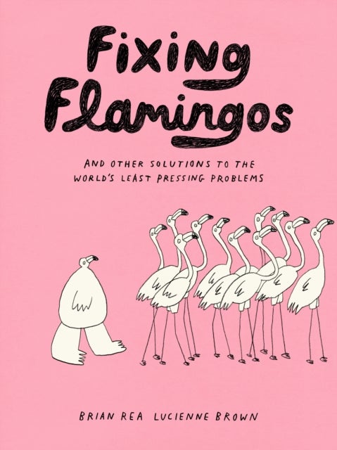 Fixing Flamingos - And Other Solutions to the World's Least Pressing Problems