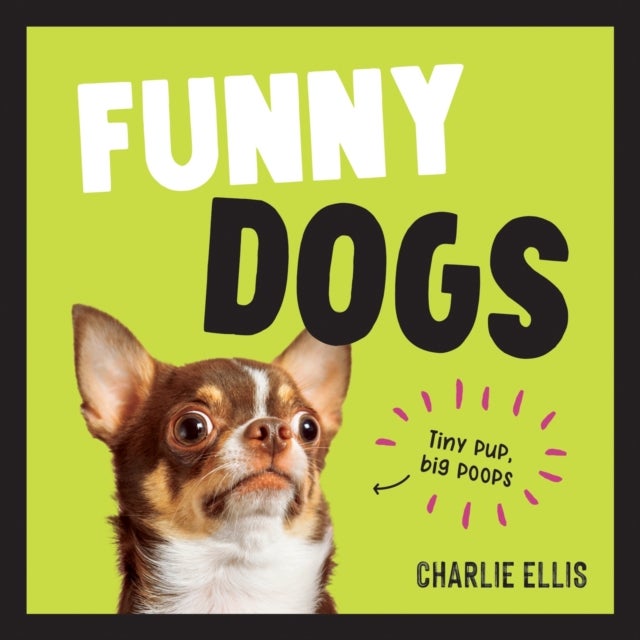 Funny Dogs - A Hilarious Collection of the World’s Silliest Dogs and Most Relatable Memes