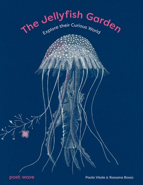 The Jellyfish Garden - Explore Their Curious World