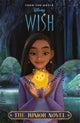 Disney Wish: The Junior Novel