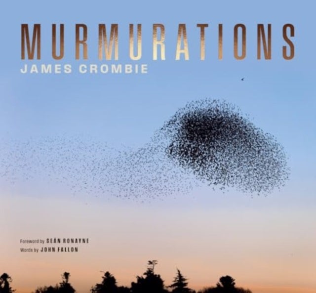 Murmuration