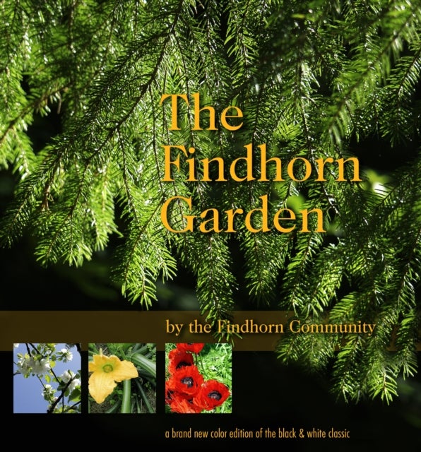 The Findhorn Garden Story - Inspired Color Photos Reveal the Magic