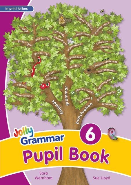 Grammar 6 Pupil Book - In Print Letters (British English edition)