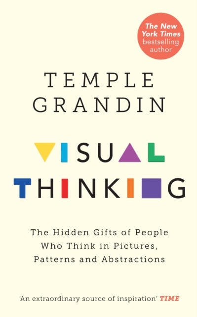 Visual Thinking - The Hidden Gifts of People Who Think in Pictures, Patterns and Abstractions