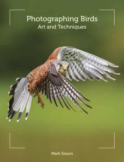 Photographing Birds - Art and Techniques
