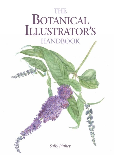 Botanical Illustrator''s Handbook