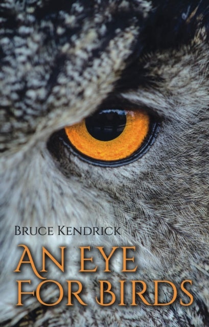 Eye for Birds