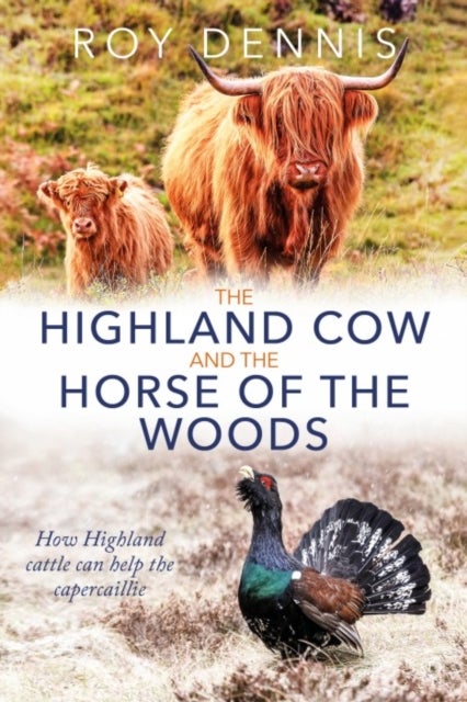 Highland Cow & the Horse of the Woods - How Highland cattle can help save the capercaillie