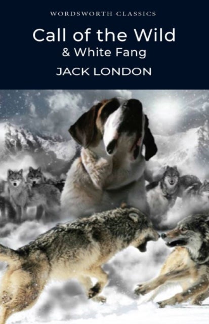 Call of the Wild & White Fang - Wordsworth Classics