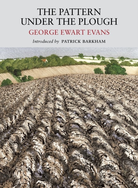 Pattern Under the Plough - Aspects of the Folk Life of East Anglia