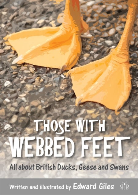 Those with Webbed Feet - All about British Ducks, Geese and Swans