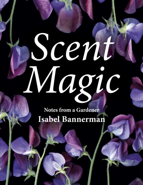 Scent Magic - Notes from a Gardener