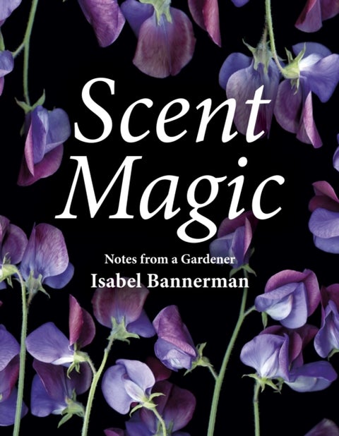 Scent Magic - Notes from a Gardener