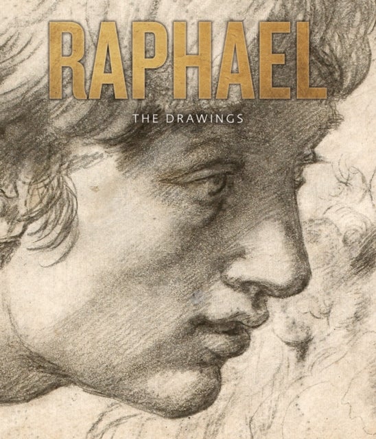Raphael - The Drawing