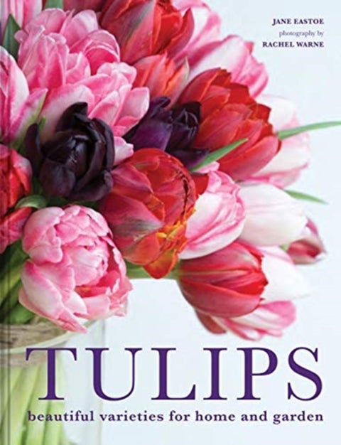TULIPS HB - Beautiful varieties for home and garden