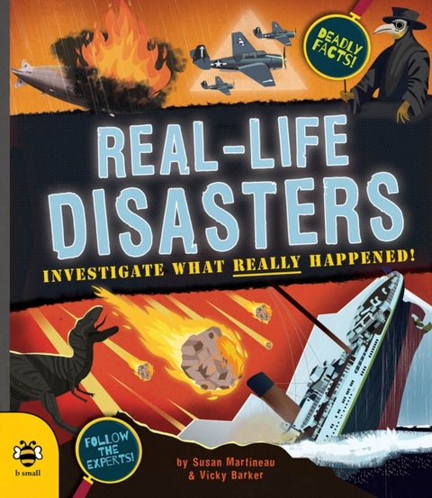 Real-life Disasters - Investigate What Really Happened!