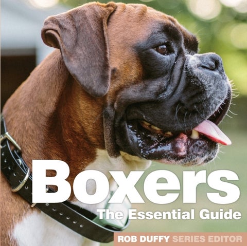 Boxers - The Essential Guide