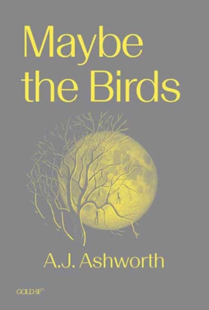Maybe the Birds