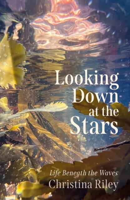 Looking Down at the Stars - Life beneath the waves